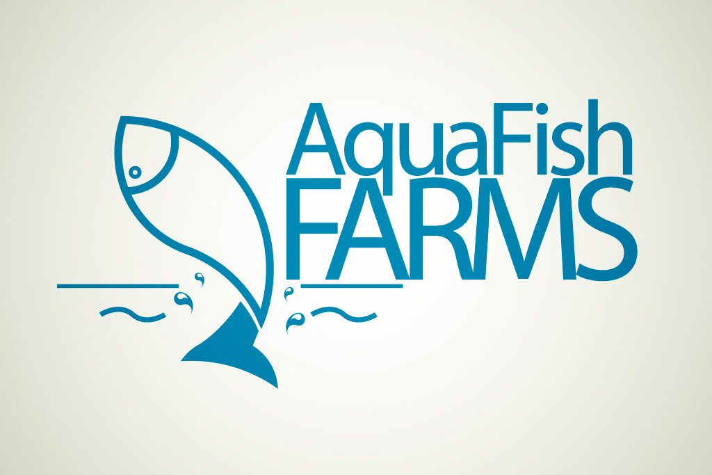 Création d'identité visuelle réaliser par Gas'in Sary